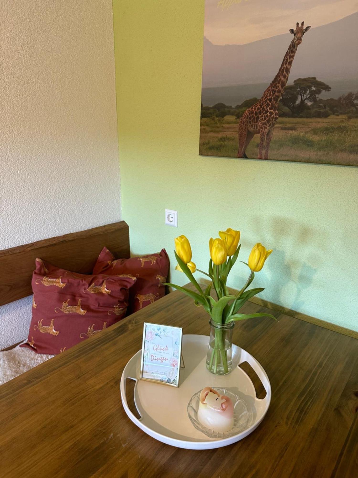 Maasai Mara Mit Whirlpool Und Sauna Apartment Bad Saulgau